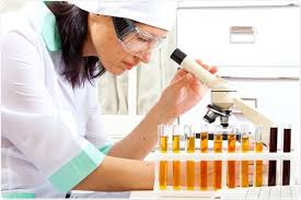 naomychepkoech.gnomio.com